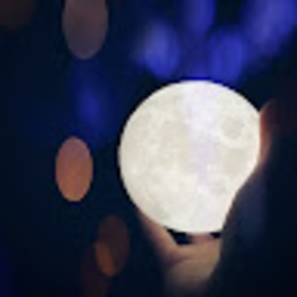 Meet your Posher, Shea